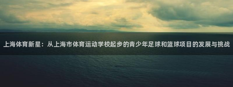 vsport体育官方正版app官网：上海体育新星：从