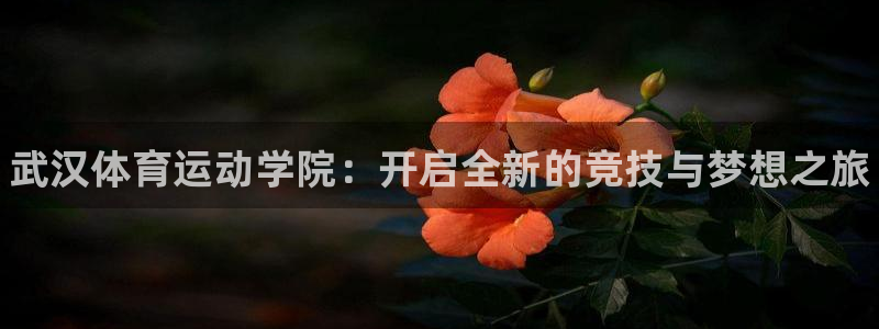 vsport体育官方正版app娱乐下载：武汉体育运动