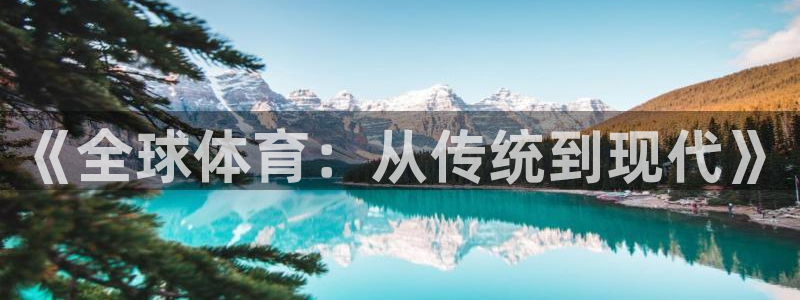 vsport体育官网下载平台注册要钱吗是真的吗：《全球体育：