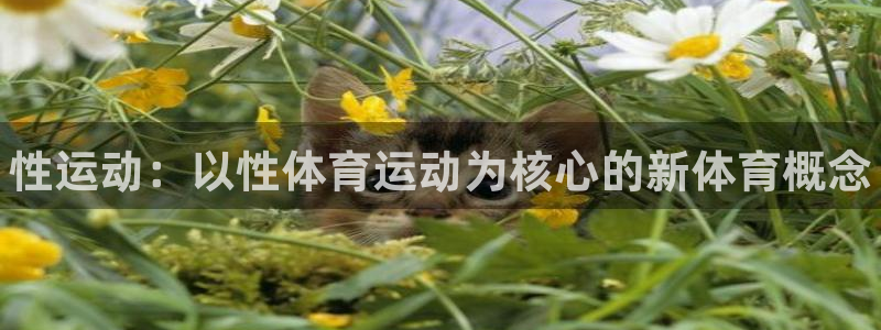 海南vsport体育官网下载：性运动：以性体育运动为