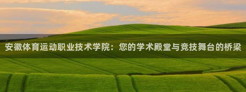 vsport体育官方正版app开户：安徽体育运动职业