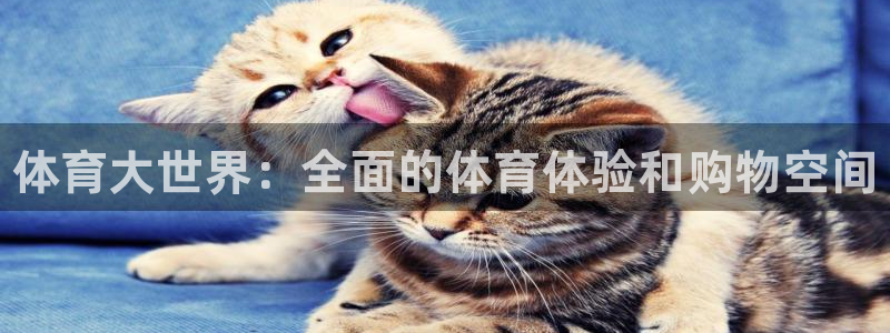 vsport体育官方正版app娱乐是那个系列的台子：