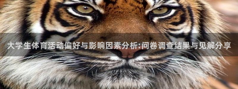 vsport体育官网下载平台是正规平台吗：大学生体育