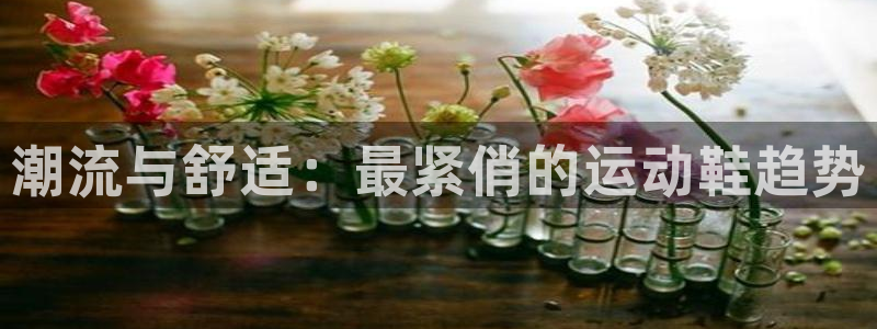 vsport体育官方正版app娱乐代理怎么样：潮流与