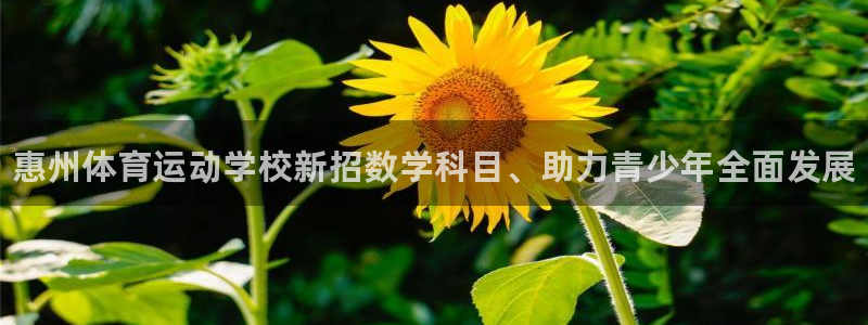 vsport体育官方正版app官方：惠州体育运动学校