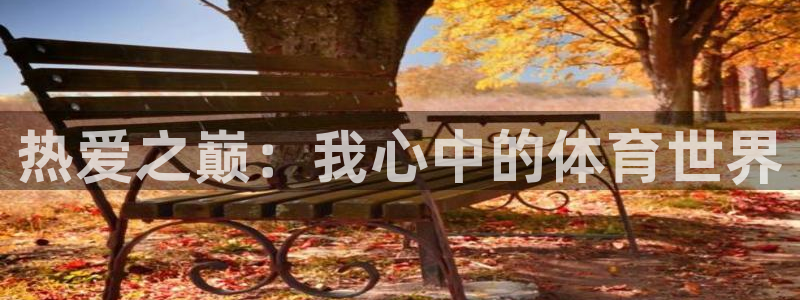 vsport体育官网下载娱乐：热爱之巅：我心中的体育世界