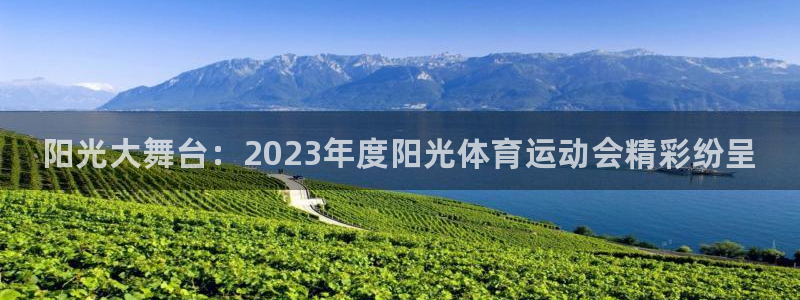 vsport体育官网下载是干嘛的公司：阳光大舞台：2023年