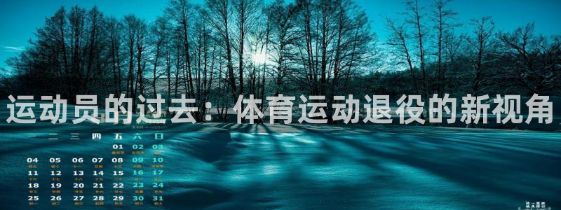 vsport体育官方集团官网：运动员的过去：体育运动退役的新