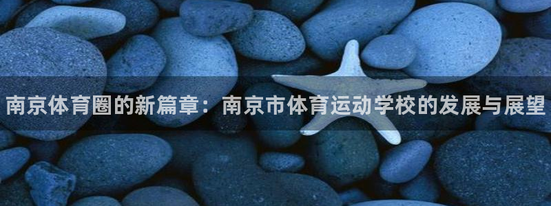 vsport体育官网下载平台注册：南京体育圈的新篇章：南京市