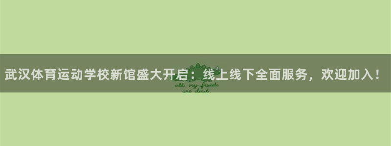 vsport体育官方正版app集团E.ON：武汉体育运动学校