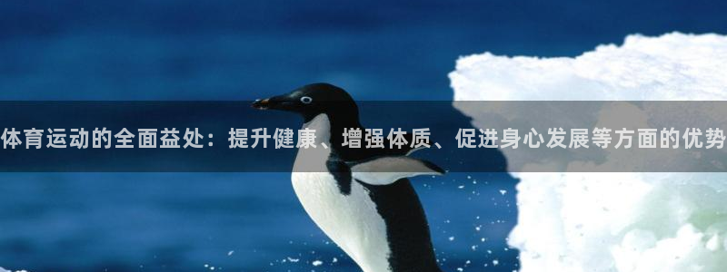 vsport体育官方正版app娱乐：体育运动的全面益处：提升