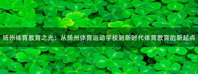 vsport体育官方正版app集团官网首页：扬州体育教育之光