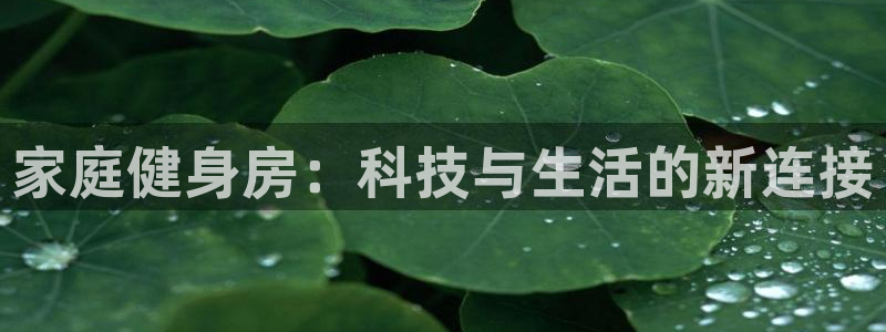 vsport体育官方正版app官网：家庭健身房：科技与生活的