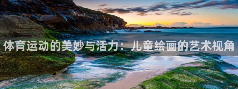 vsport体育官网下载是干嘛的公司