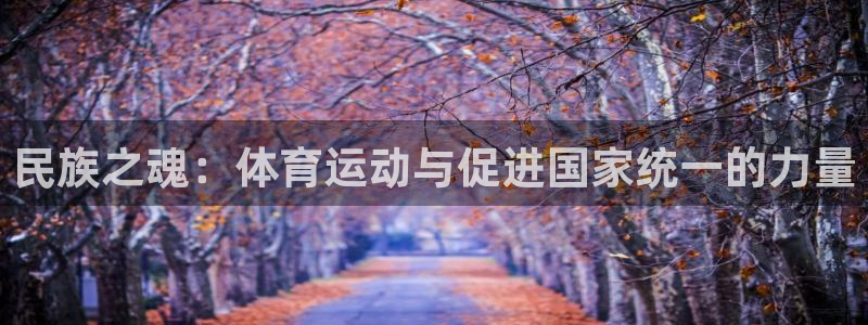 vsport体育官网下载招商电话号码是多少啊：民族之魂：体育