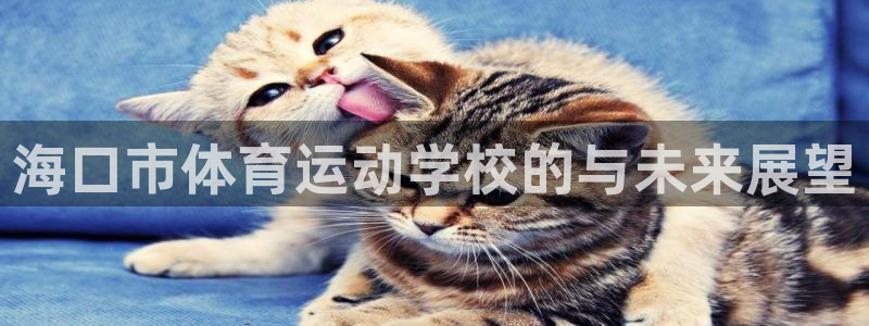 vsport体育官网下载平台是正规平台吗知乎：海口市体育运动