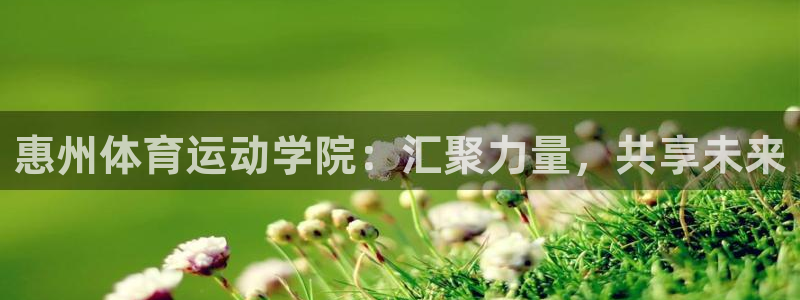 vsport体育官方正版app集团E.ON：惠州体育运动学院