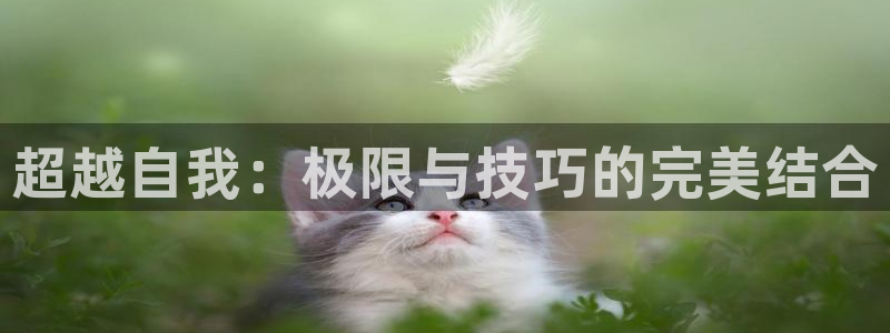  vsport体育阿根廷：超越自我：极限与技巧的完美结合