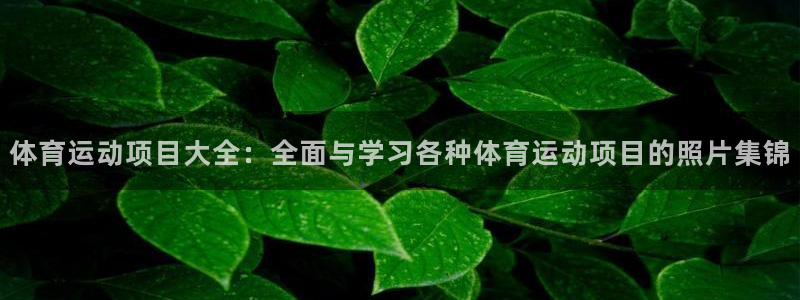  vsport体育在线官网：体育运动项目大全：全面与学习各种体