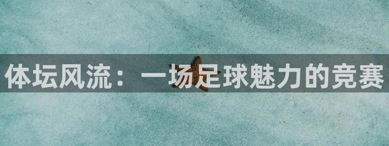 vsport体育在线官网阿根廷：体坛