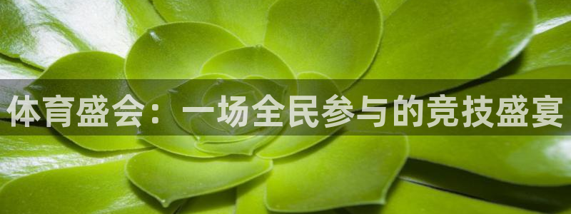 vsport体育平台app：体育盛会