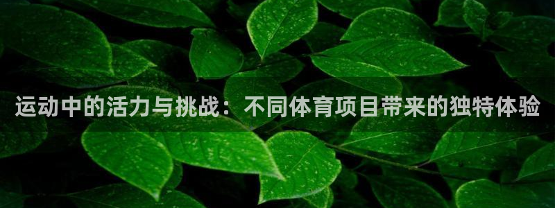 VSport体育平台-胜利因您更精彩：运动中的活力与挑战：不