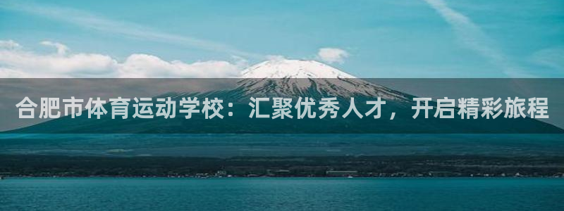 vsport体育在线官网阿根廷：合肥