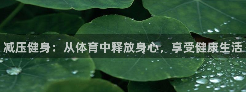 vsport体育官网：减压健身：从体