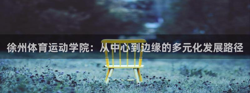 VSport体育官网入口：徐州体育运动学院：从中心到边缘的多