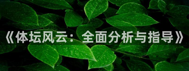 vsport体育官网：《体坛风云：全面分析与指导》