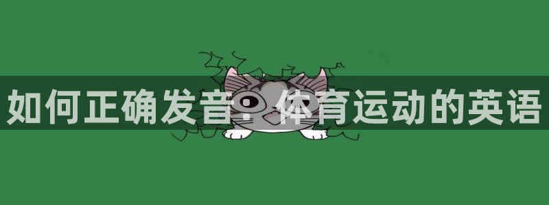 Vsport体育官方网站入口：如何正