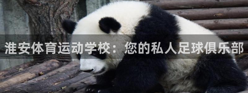 vsport体育官方正版app娱乐首页官网下载：淮安