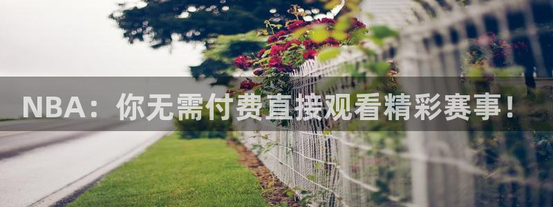 飞速足球直播：NBA：你无需付费直接观看精彩赛事！