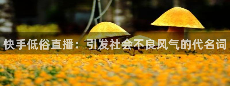 飞速直播jrs篮球：快手低俗直播：引发社会不良风气的代名词