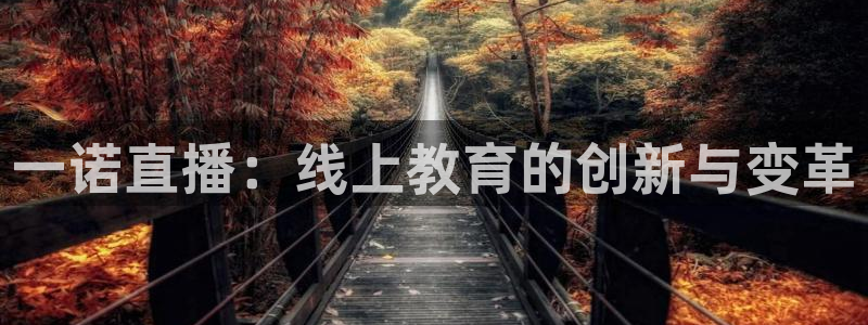 飞速体育直播在线观看cba
