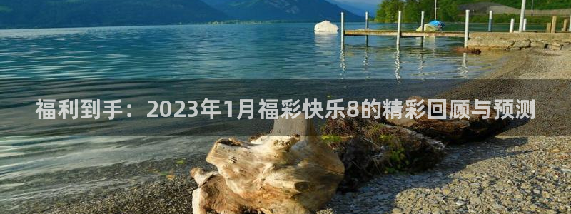 飞速体育直播nba高清