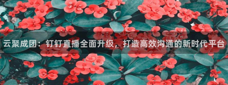 飞速体育直播nba直播：云聚成团：钉钉直播全面升级，打造高效沟通的新时代平台